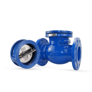 Check valve